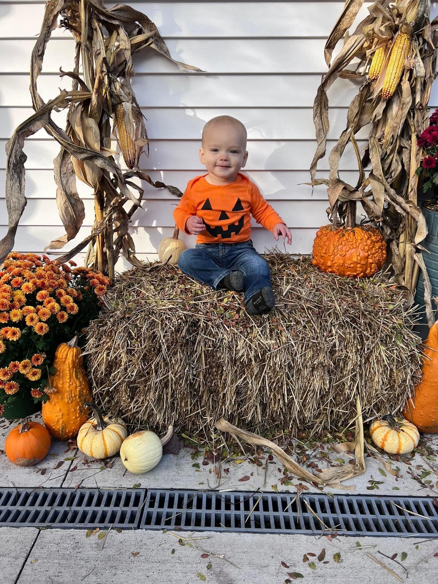 Fabric - Halloween Collection
