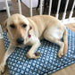 Dog bed
