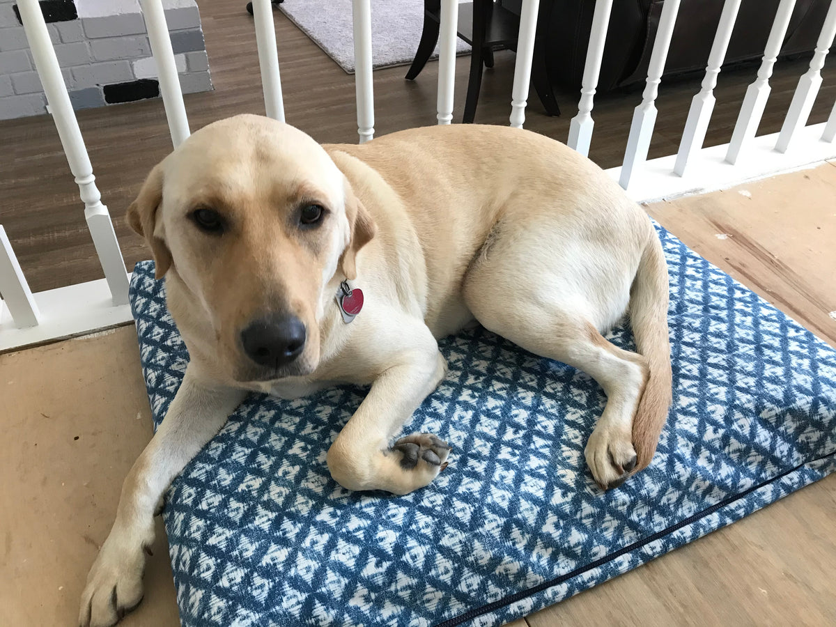 Dog bed - beige color