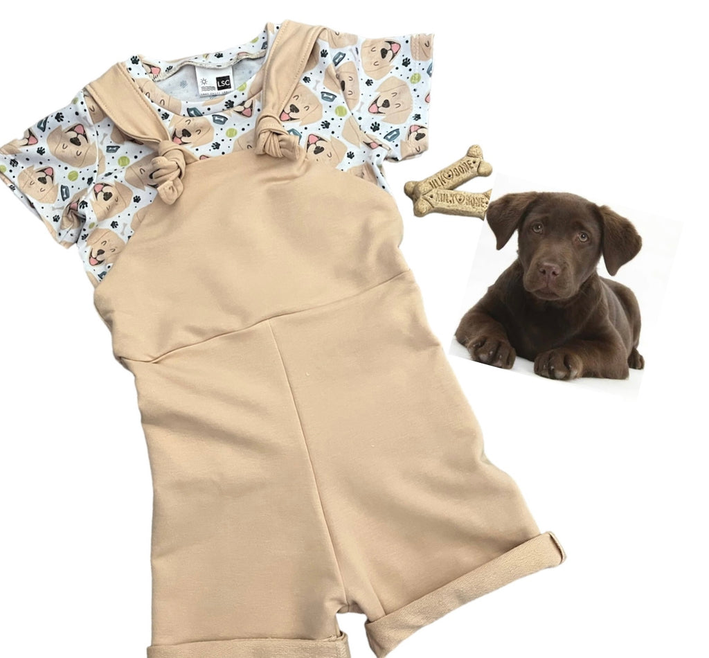 Lisa's Makes and Inspiration