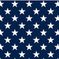 AA Fabric on Hand (100+)